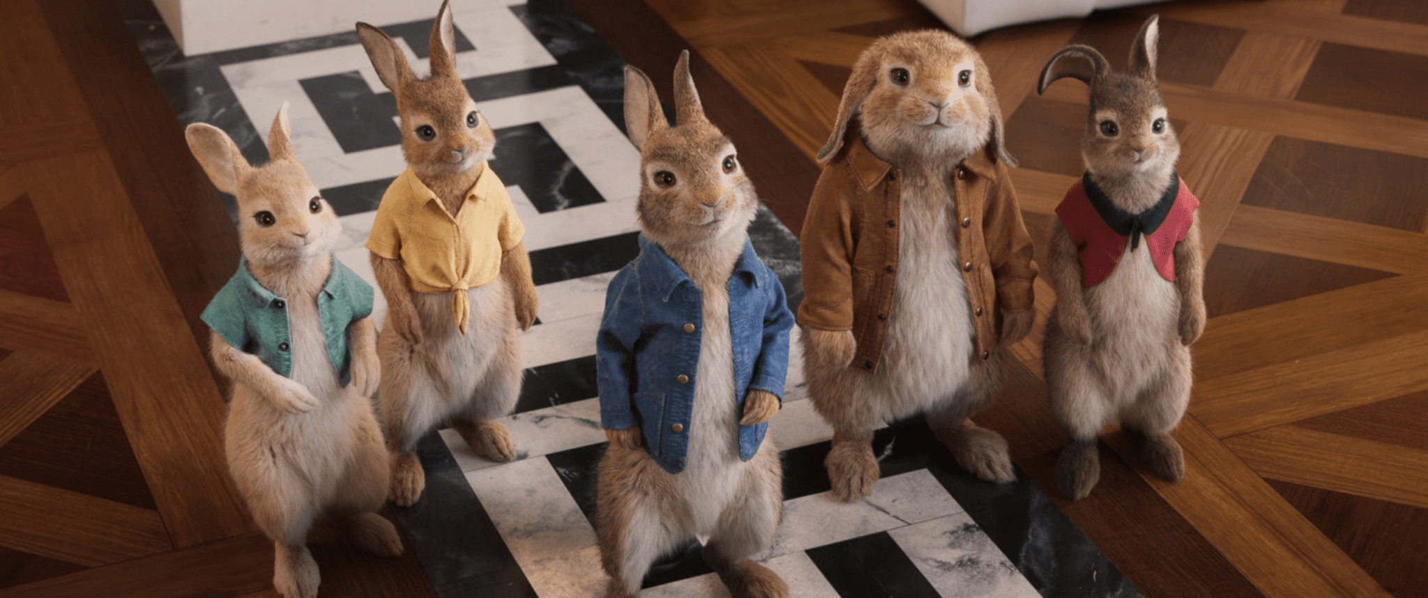 Peter Rabbit 2 (2021) - Movie Reviews by Todd Wofford